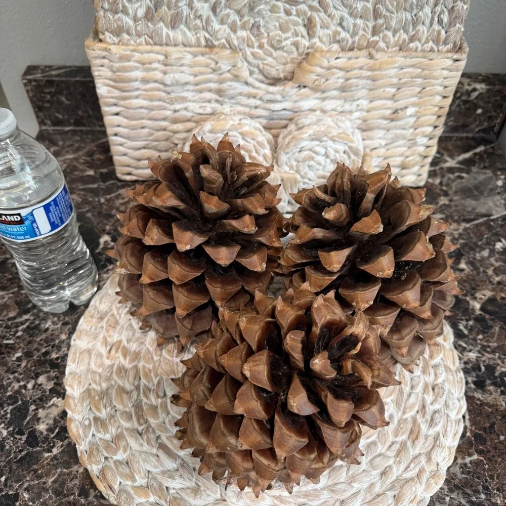 Large Natural Pine Cones Set of 3 Rustic Woodland Home Decor Centerpiece Filler